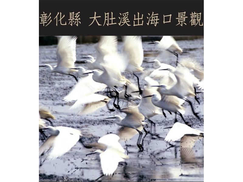 連結到：http://www.changhua-ebooks.com/tw/ebooks?view=adm_ebook&id=45